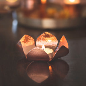 Petiole Gift Box (Set of 2)