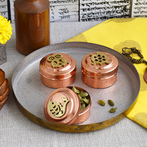 Indus Fauna Miniature Box Set(Set of 3) - Studio Coppre